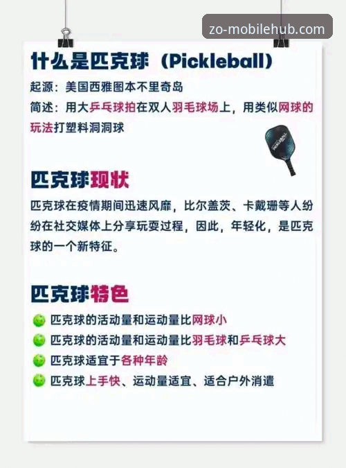 中欧体育使用教程 5个步骤掌握中欧体育使用教程:从下载到畅玩的完整指南